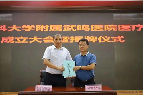 广西医科大学附属武鸣医院医疗集团挂牌成立