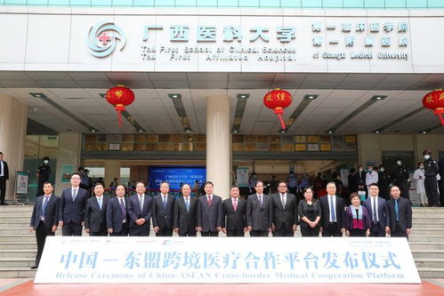 中国 东盟跨境医疗合作平台正式启用
