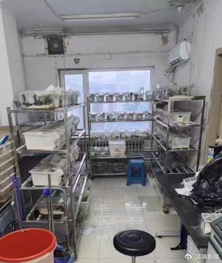 中国医科大研一学生医院实验室猝死,家属质疑抢救时间,各方回应