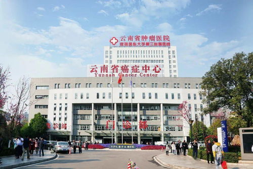 昆明医科大学第三附属医院 昆明医科大学临床肿瘤学院组织开展首届学生职业生涯规划大赛