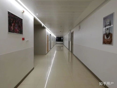 在广西医科大学就读是一种怎样的体验