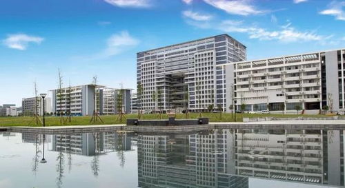 盘点8所新工学院,二本公办底蕴深厚特色明显