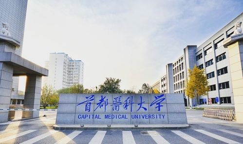 最好的4所医科大学,社会认可度极高,第1被称 医学界珠峰