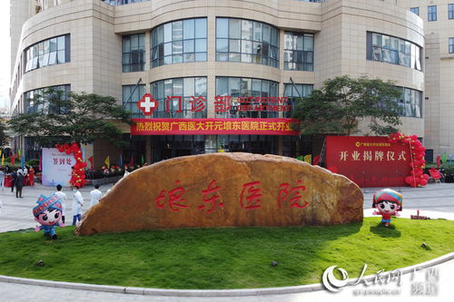 广西医大开元埌东医院开业 满足民众多元化健康需求