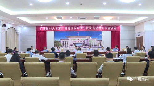 东兴市召开广西医科大学第一附属医院东兴分院发展规划工作座谈会