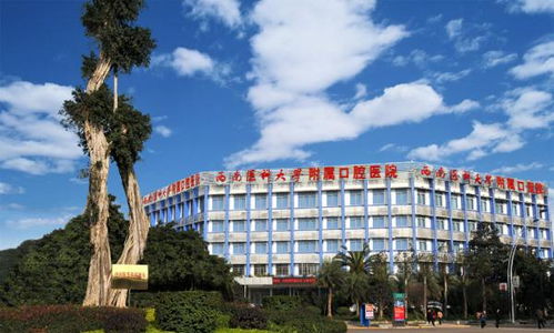 泸州医学院与广西医科大整形医院的附属医疗机构概况